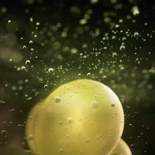 TEASER VIDEO VINTAGE 2006 1