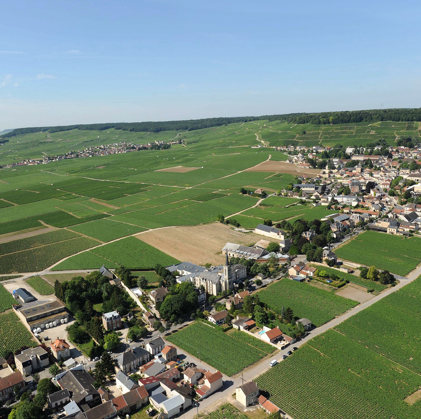 VISUELS VIGNOBLES 1