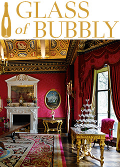 Glass of bubbly 1