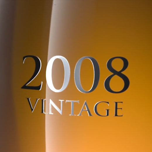VIDÉO VINTAGE 2008 1
